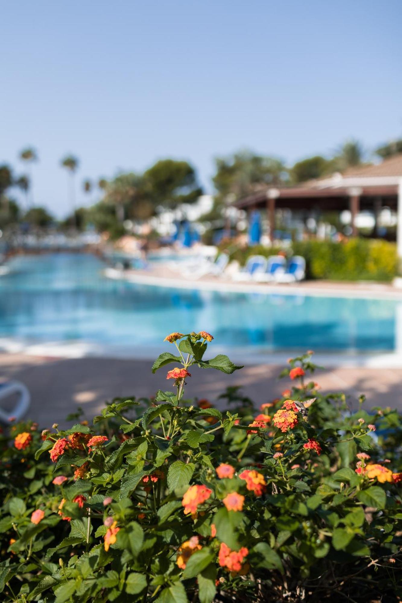Sagitario Princesa Playa Resort 4*